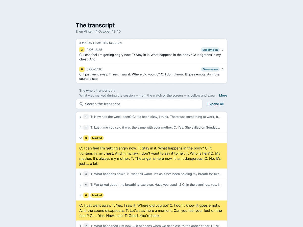 The transcript on iPad: the list of marks at the top, the sections below