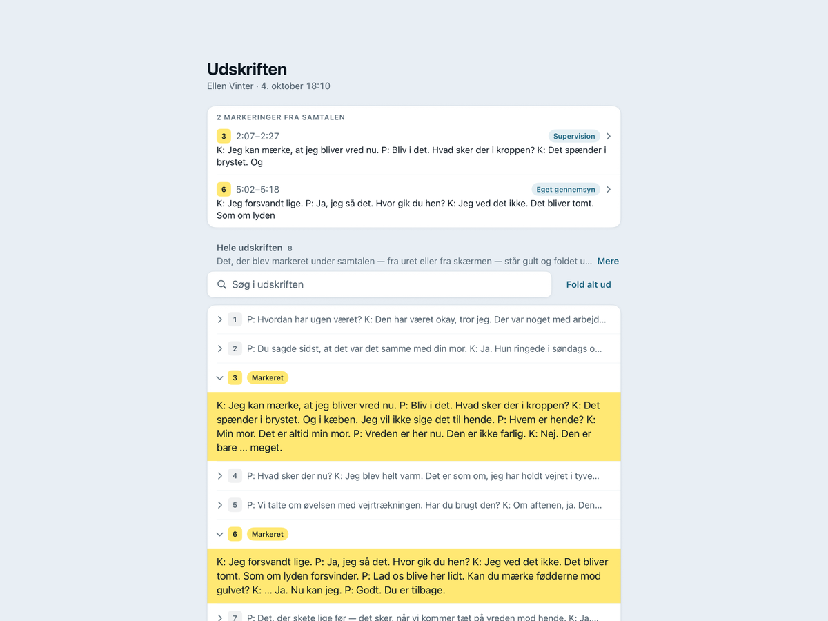 Udskriften på iPad: listen over markeringer øverst, afsnittene under